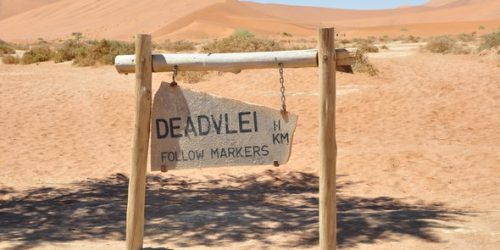 Dead-End Marsh Encounter