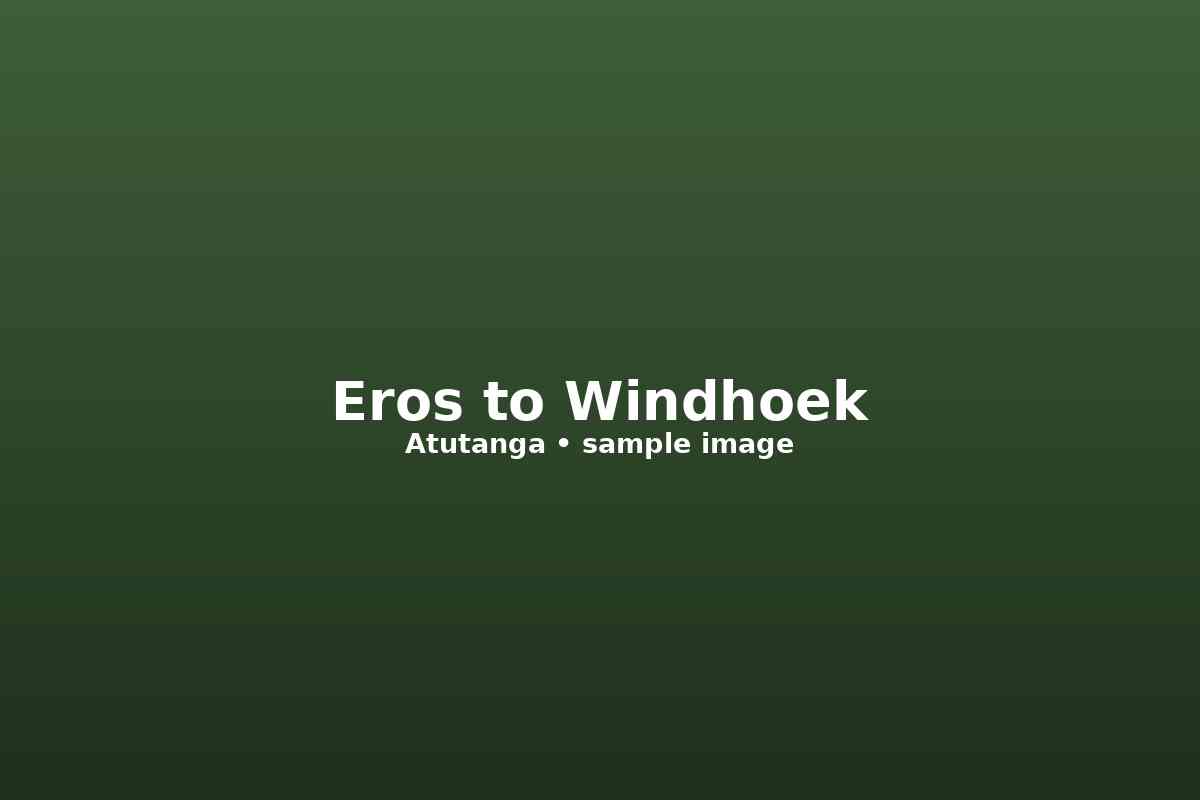 Eros Airport → Windhoek Accommodation